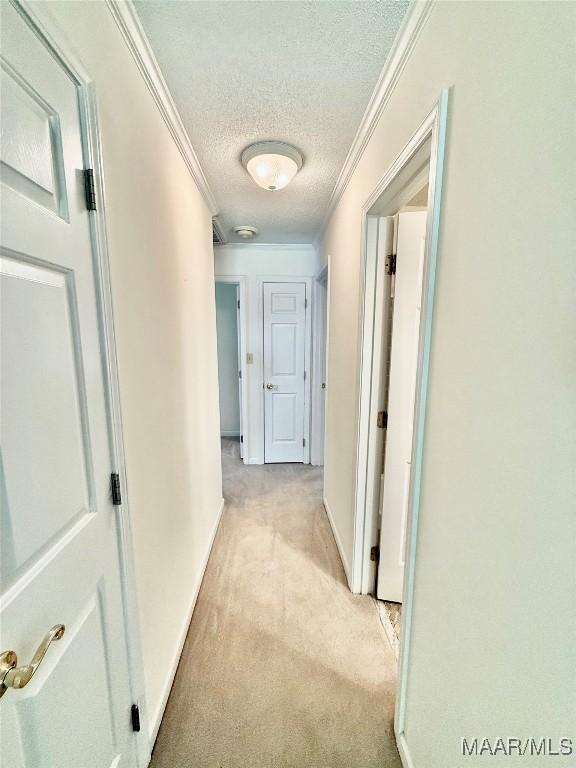 441 County Road 401, Selma, AL 36701 - hallway with a textured ceiling, light carpet, crown molding, and baseboards