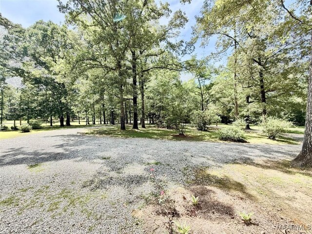 441 County Road 401, Selma, AL 36701 - view of nature