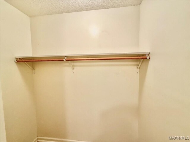 441 County Road 401, Selma, AL 36701 - view of walk in closet