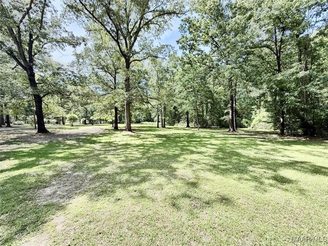 441 County Road 401, Selma, AL 36701 - view of grassy yard