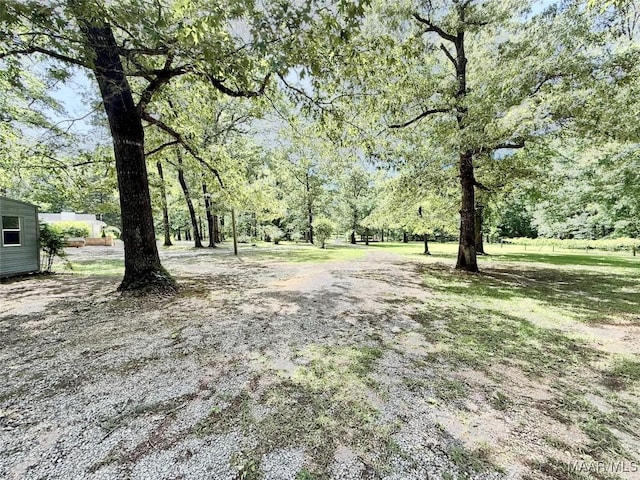 441 County Road 401, Selma, AL 36701 - view of yard