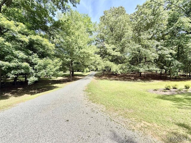 441 County Road 401, Selma, AL 36701 - view of street