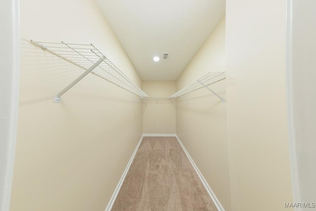 929 Ironwood Dr, Montgomery, AL 36117 - walk in closet with carpet floors