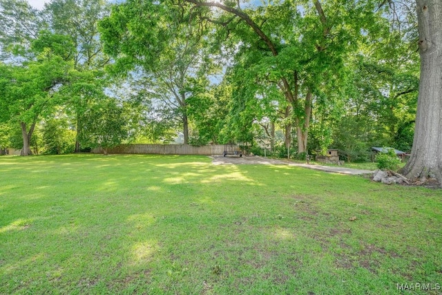 258 S Conecuh St, Greenville, AL 36037 - view of yard