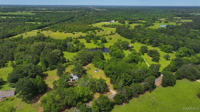 1582 W Old Hayneville Rd, Le Grand, AL 36105 - view of property location featuring a nearby body of water and a forest
