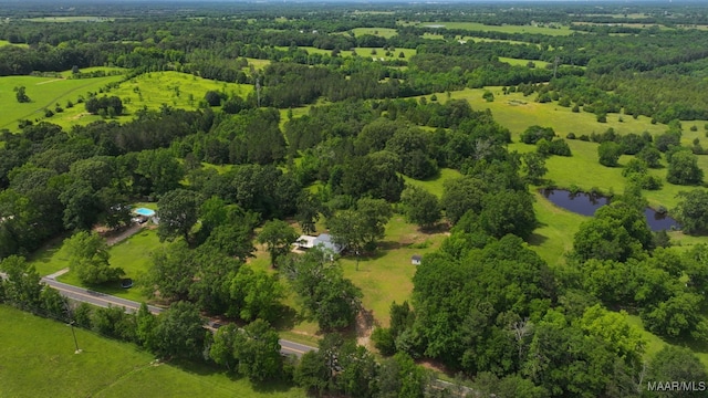 1582 W Old Hayneville Rd, Le Grand, AL 36105 - drone / aerial view of a large body of water and a heavily wooded area