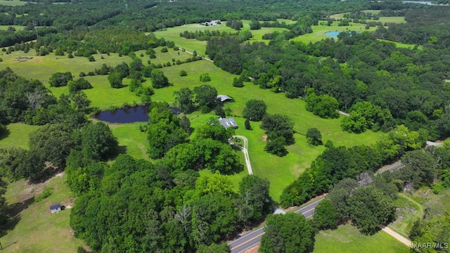 1582 W Old Hayneville Rd, Le Grand, AL 36105 - aerial view of a nearby body of water