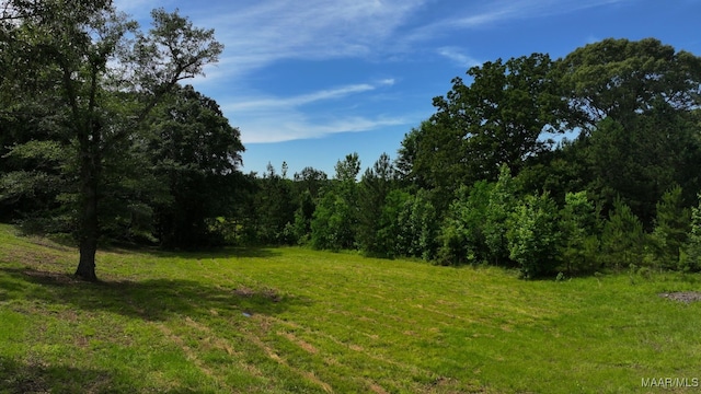 1582 W Old Hayneville Rd, Le Grand, AL 36105 - view of woods