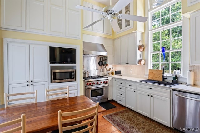 1533 Gilmer Ave, Montgomery, AL 36104 - kitchen featuring stainless steel appliances, a sink, a ceiling fan, wall chimney exhaust hood, and healthy amount of natural light
