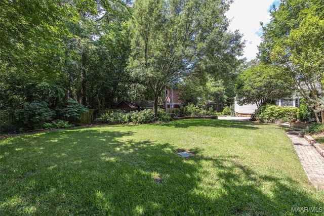 1533 Gilmer Ave, Montgomery, AL 36104 - view of grassy yard