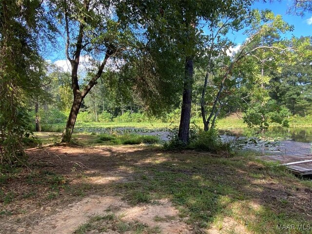 4752 Ward Rd, Elmore, AL 36025 - photo 47