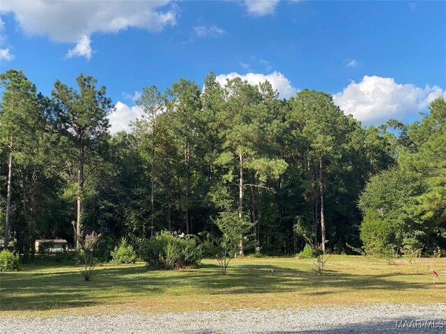 4752 Ward Rd, Elmore, AL 36025 - photo 56