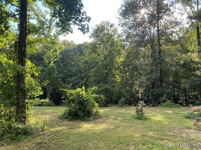 4752 Ward Rd, Elmore, AL 36025 - photo 57