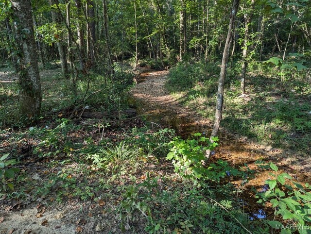 4752 Ward Rd, Elmore, AL 36025 - photo 59