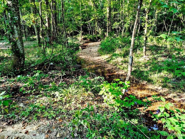4752 Ward Rd, Elmore, AL 36025 - photo 61