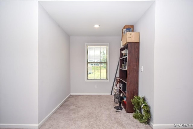 688 Tiger Trl, Opelika, AL 36804 - view of storage room