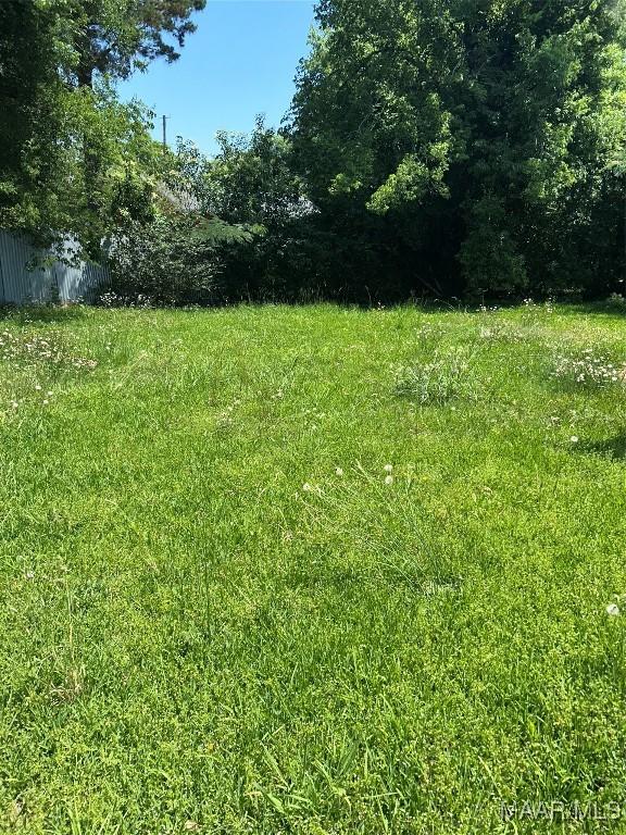 3055 Alta Rd, Montgomery, AL 36110 - view of yard