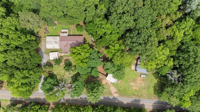 6390 County Road 37, Valley Grande, AL 36701 - bird's eye view