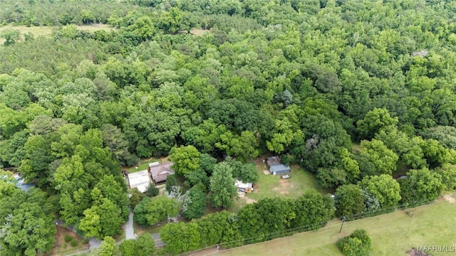 6390 County Road 37, Valley Grande, AL 36701 - bird's eye view of a forest