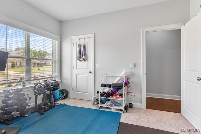 1478 Trolley Rd, Prattville, AL 36066 - workout area featuring carpet flooring