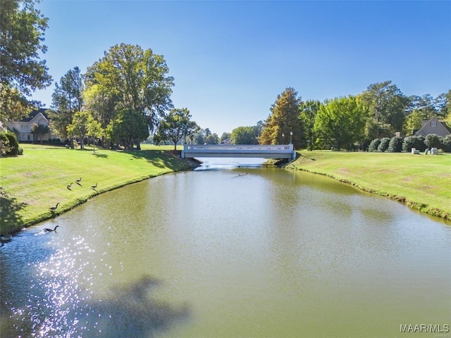 7178 Wyngrove Dr, Montgomery, AL 36117 - water view