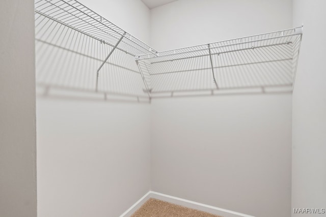 177 Canal Xing, Wetumpka, AL 36092 - walk in closet featuring carpet