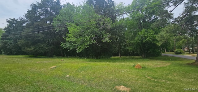 1003 Keith Way, Selma, AL 36701 - view of grassy yard