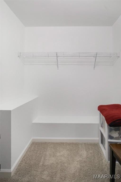 8945 Chantilly Way, Montgomery, AL 36116 - walk in closet featuring carpet