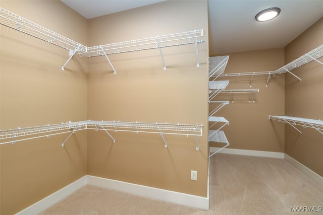 8460 Rockbridge Cir, Montgomery, AL 36116 - spacious closet with carpet floors