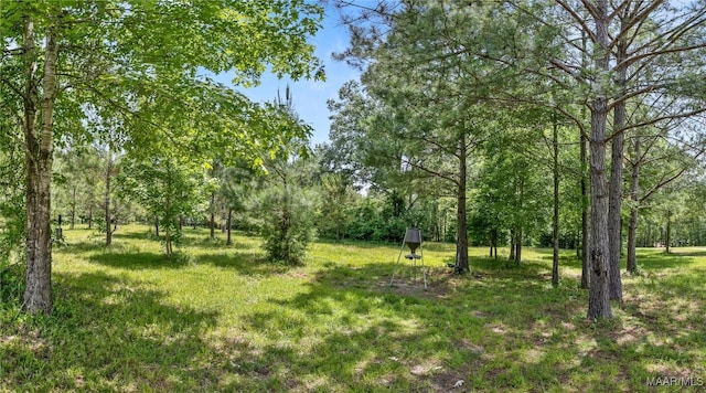 13871 Old Pike Rd, Mathews, AL 36052 - view of undeveloped land