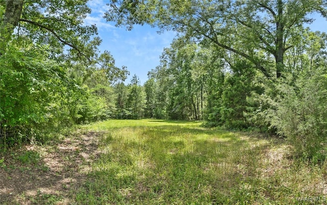 13871 Old Pike Rd, Mathews, AL 36052 - view of wooded area