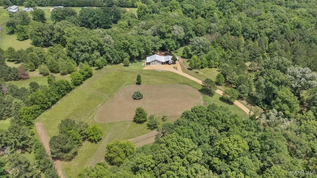 13871 Old Pike Rd, Mathews, AL 36052 - view of property location with a heavily wooded area and rural landscape