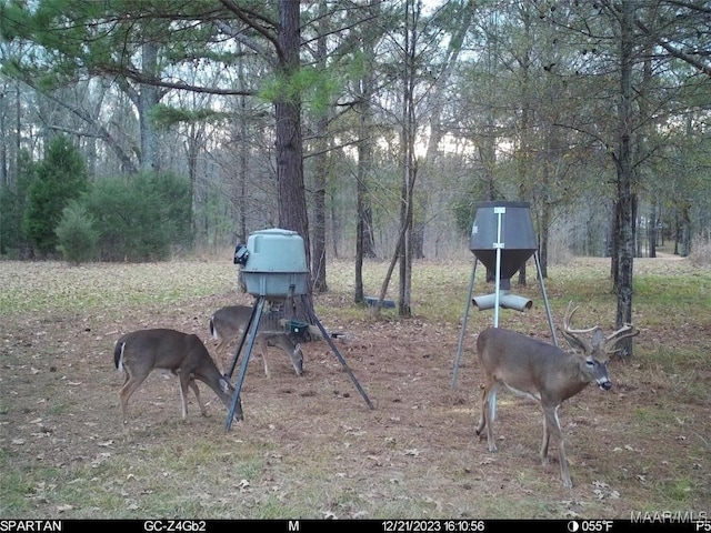 13871 Old Pike Rd, Mathews, AL 36052 - view of yard