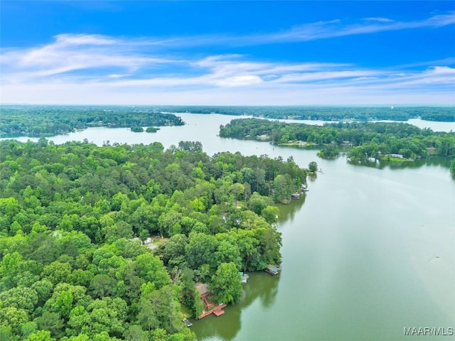 300 Elmore Rd, Titus, AL 36080 - bird's eye view of a nearby body of water and a forest