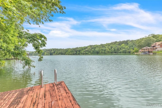 300 Elmore Rd, Titus, AL 36080 - dock with a water view and a forest view