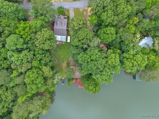 300 Elmore Rd, Titus, AL 36080 - view of property location with a nearby body of water