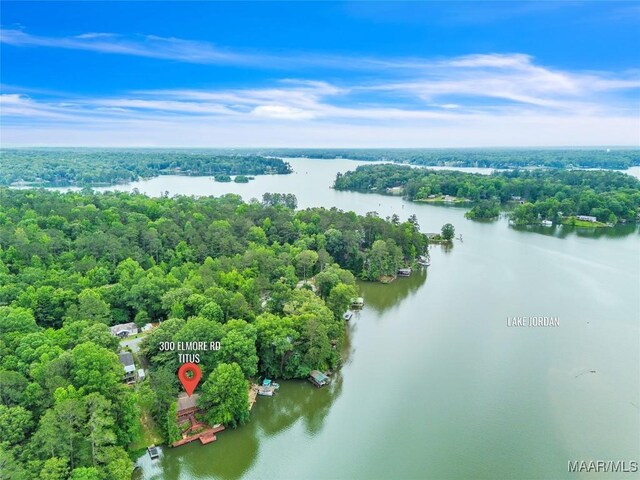 300 Elmore Rd, Titus, AL 36080 - aerial view of a nearby body of water and a forest