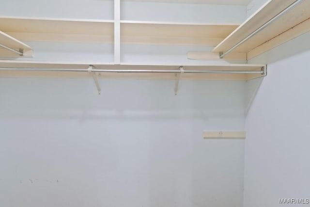 3158 Partridge Ln, Montgomery, AL 36111 - view of spacious closet