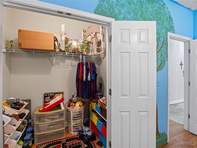 33 Glendale Acres Acres, Eclectic, AL 36024 - view of closet