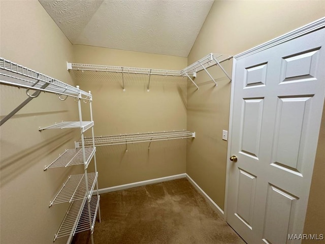 624 Stoneybrooke Way, Montgomery, AL 36117 - walk in closet with carpet