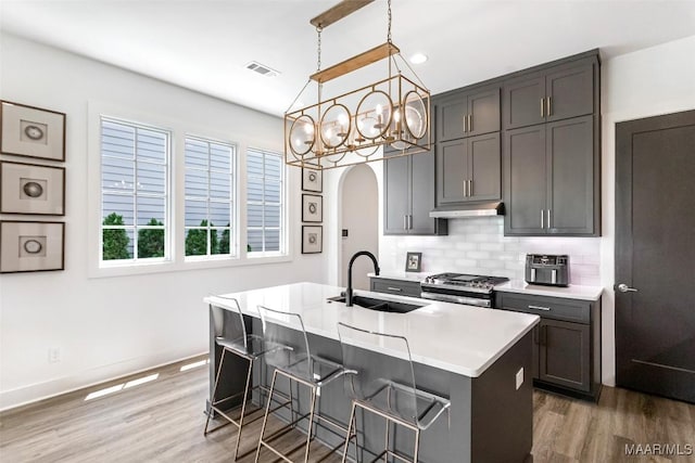 4808 Clerkenwell St, Montgomery, AL 36116 - kitchen with a sink, stainless steel gas stove, under cabinet range hood, arched walkways, and light wood-style flooring