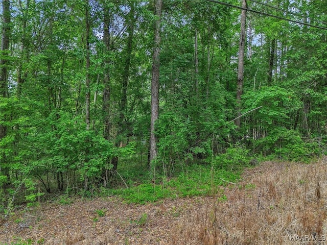5 Peachwood Dr Unit 1, Tallassee, AL 36078