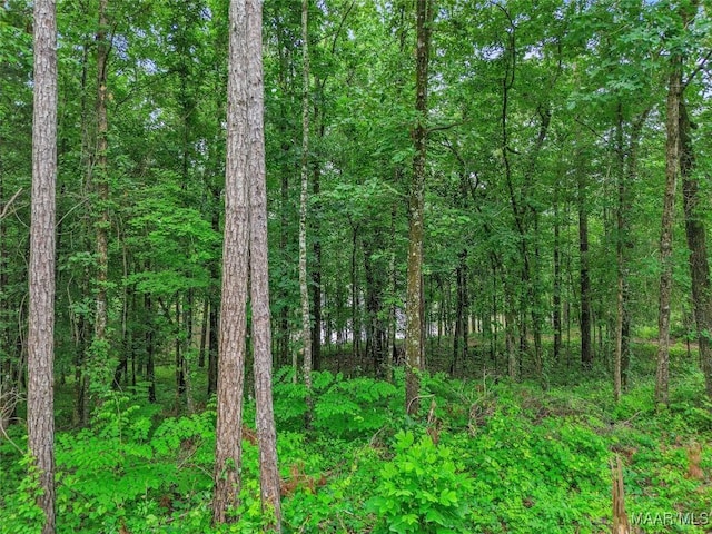 5 Peachwood Dr Unit 1, Tallassee, AL 36078