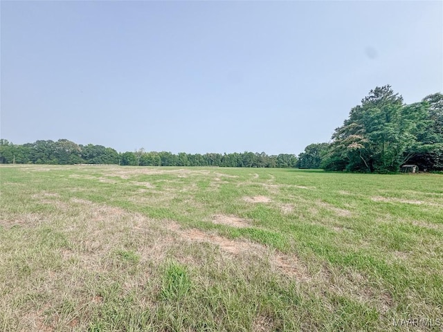 6554 River Rd, Selma, AL 36703 - photo 24