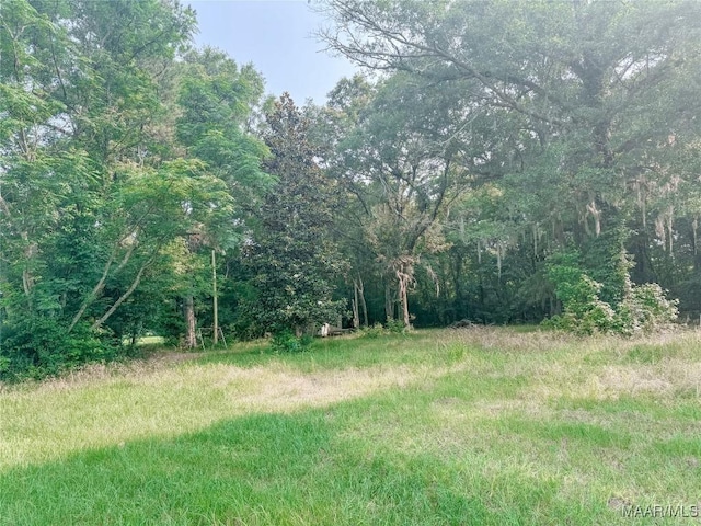 6554 River Rd, Selma, AL 36703 - photo 25