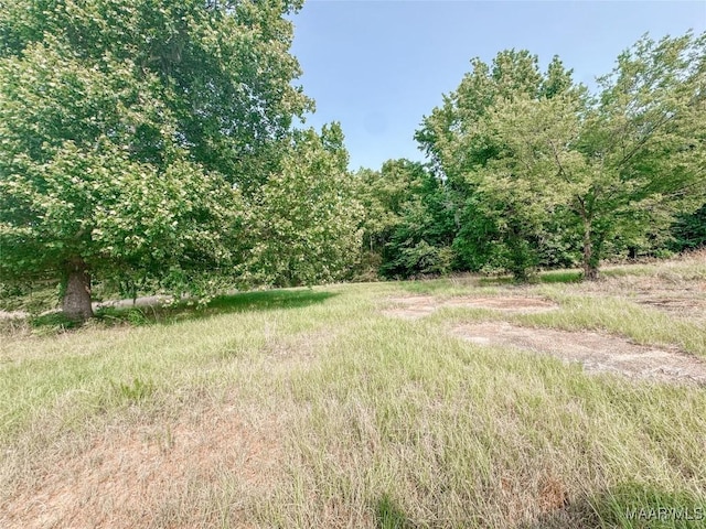 6554 River Rd, Selma, AL 36703 - photo 26
