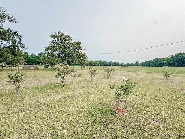 6554 River Rd, Selma, AL 36703 - photo 23