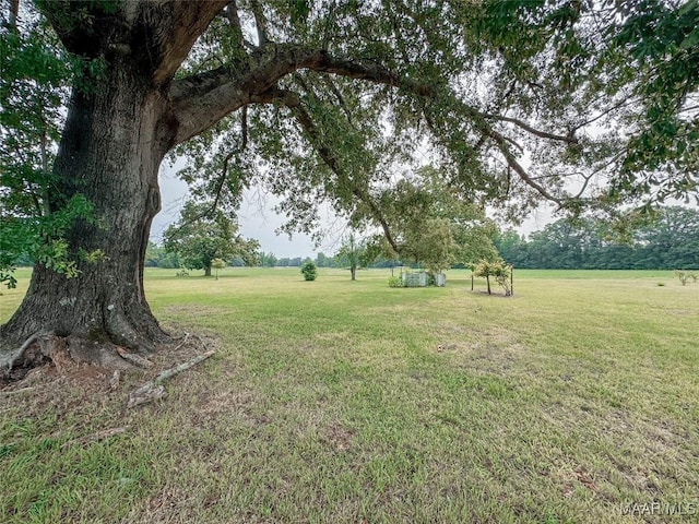 6554 River Rd, Selma, AL 36703 - photo 27