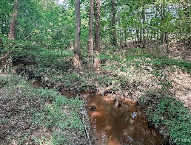 6554 River Rd, Selma, AL 36703 - photo 29