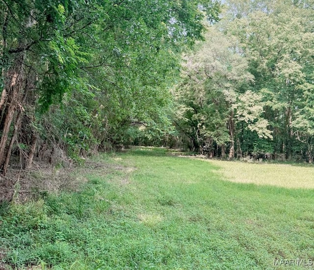 6554 River Rd, Selma, AL 36703 - photo 31